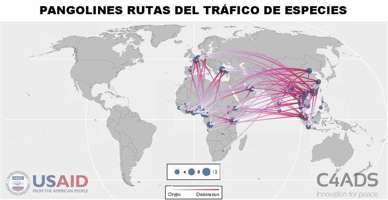 Pangolin Routes Map With Titles_Spanish.jpg