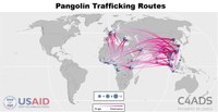 Air Transport Wildlife Trafficking Route Maps
