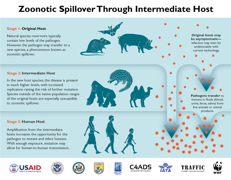 Zoonotic Disease Spillover.png