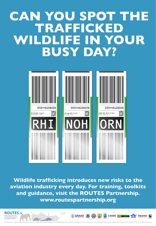 ROUTES Can You Spot the Rhino? Awareness Poster