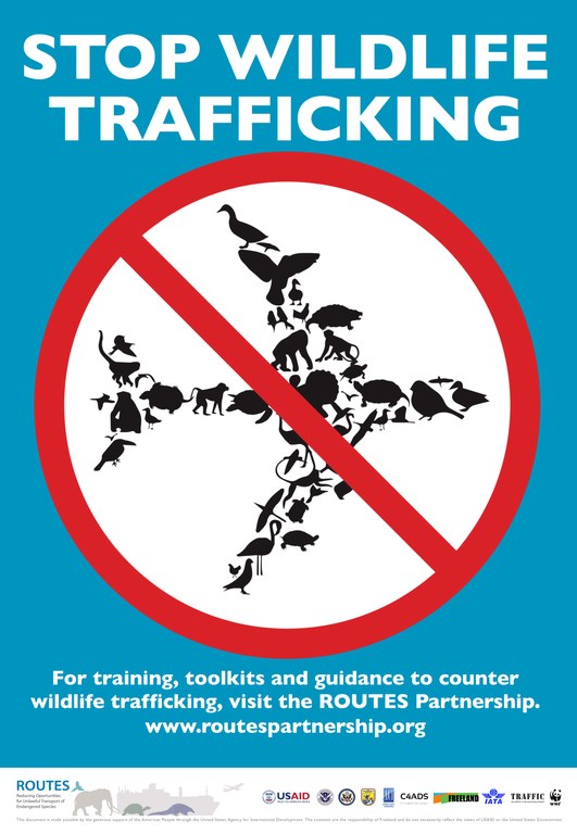 ROUTES Stop Wildlife Trafficking Awareness Poster
