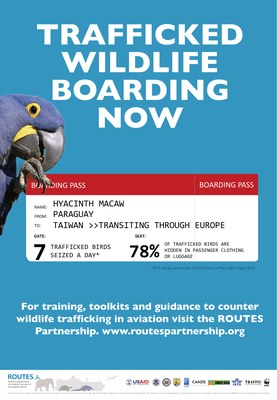 ROUTES Trafficked Wildlife Boarding Now Bird Awareness Poster