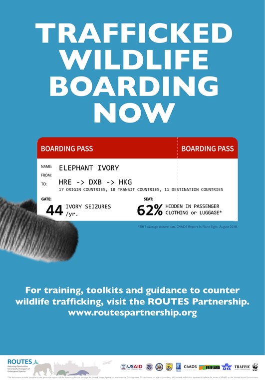 ROUTES Trafficked Wildlife Boarding Now Elephant Awareness Poster