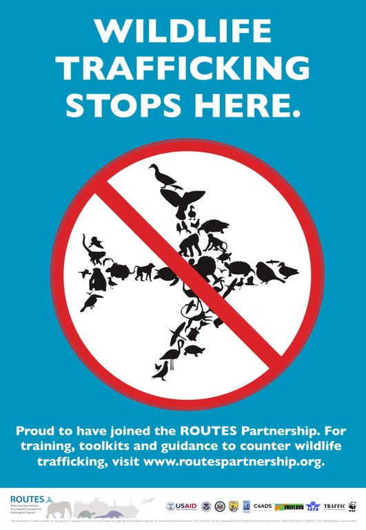 ROUTES Wildlife Trafficking Stops Here Awareness Poster