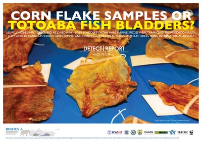 ROUTES Detect and Report Fish Awareness Poster