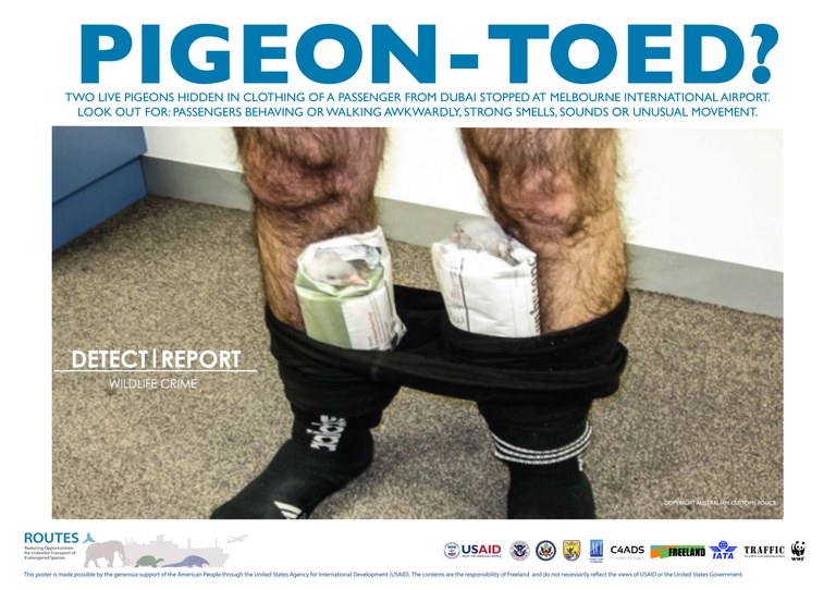 ROUTES Detect and Report Smuggling Awareness Poster