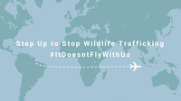 Aviation industry’s global message to wildlife traffickers: “It Doesn’t Fly With Us!”