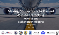 Key players in Latin America and the Caribbean’s aviation industry connect to address wildlife trafficking