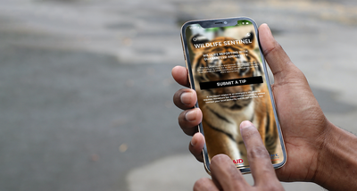 New mobile reporting app is helping combat wildlife trafficking and corruption in aviation