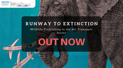 Runway to Extinction: Airports and Airlines in Every Region of the World Can Assist with Fighting Wildlife Trafficking