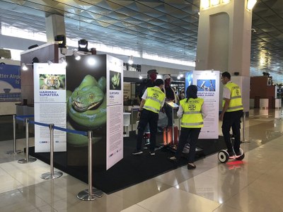 USAID BIJAK Raises Awareness of Wildlife Trafficking at Soekarno-Hatta Airport in Indonesia