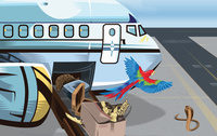 Wildlife Traffickers Exploiting Vulnerabilities in the Air Transport Sector Worldwide