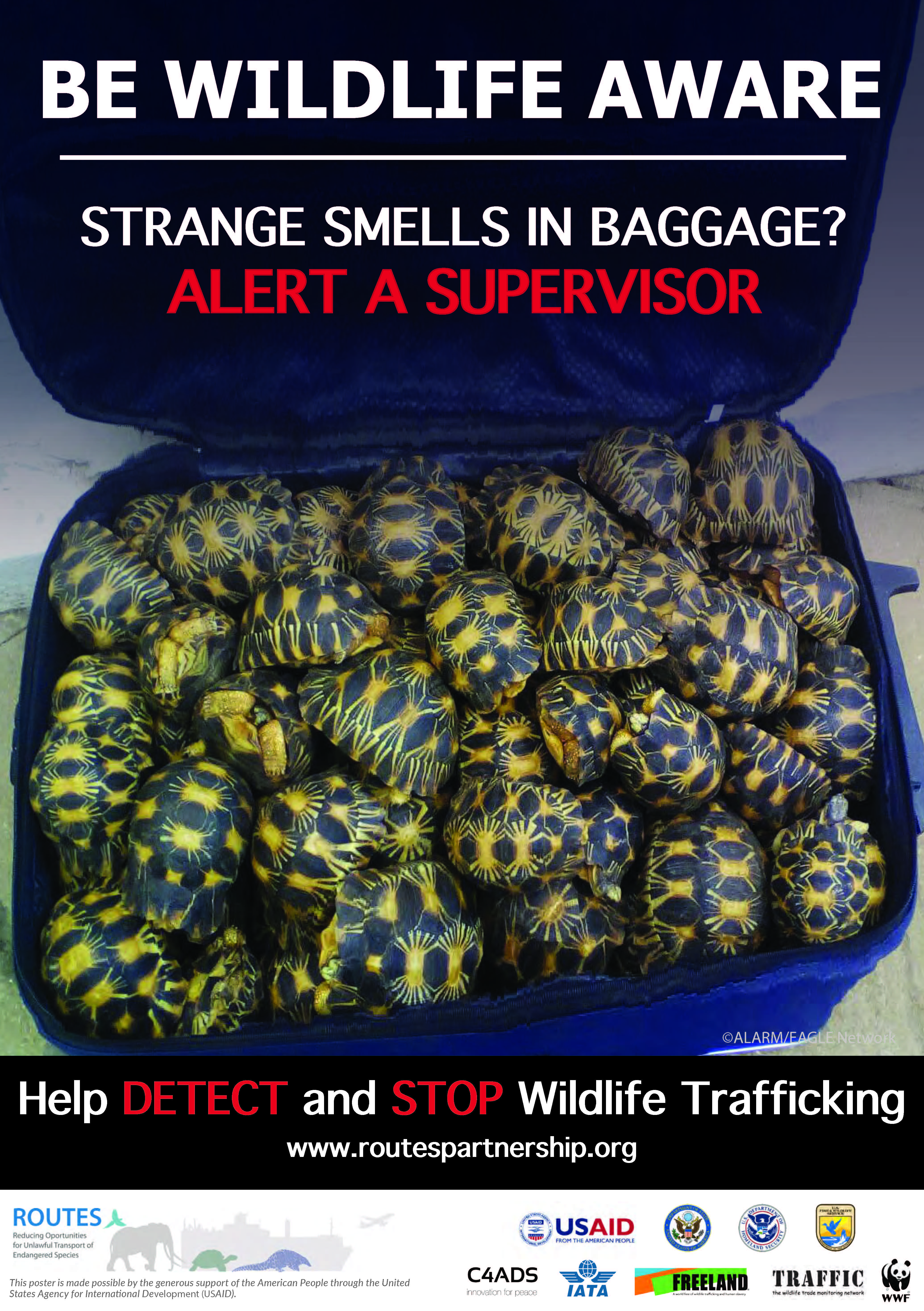 Baggage_Smell Red Flag_webquality.jpg