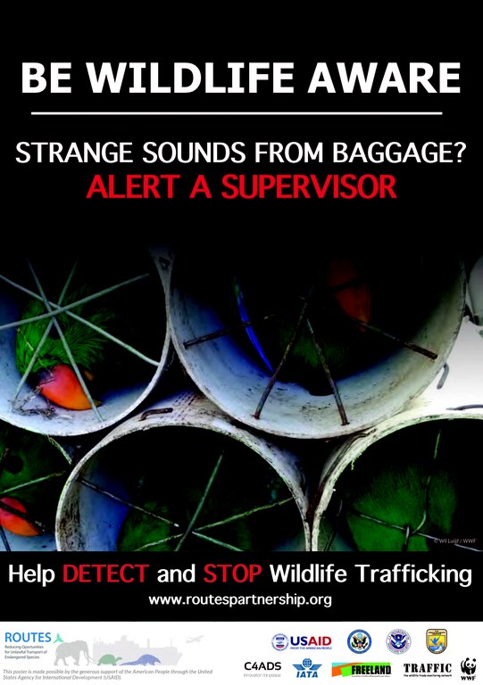 Baggage_Sound Red Flag_webquality.jpg