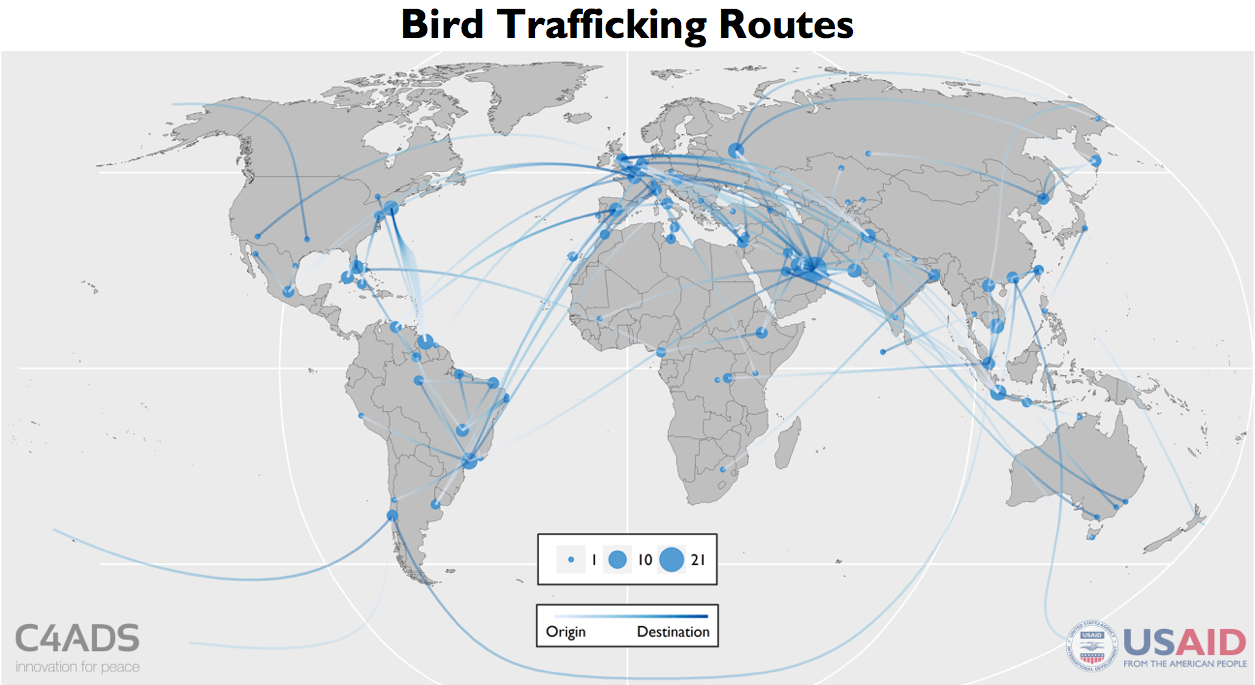 Bird Routes with Title.png