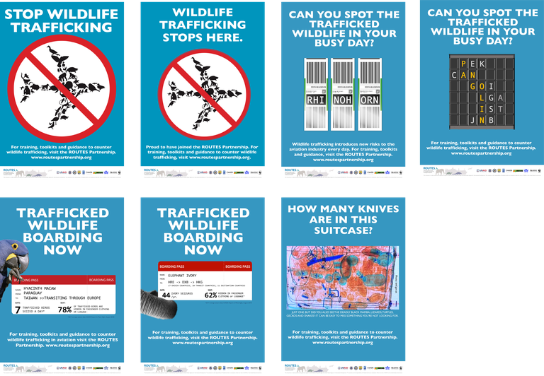 ROUTES Stop Wildlife Trafficking Awareness Poster 2.png